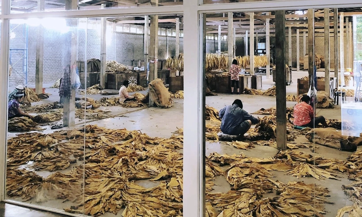 Thực trạng gây xôn xao